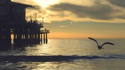 Camera - professional stock photography