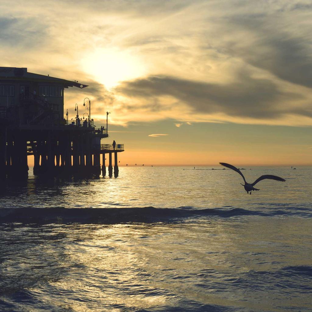 Camera - professional stock photography