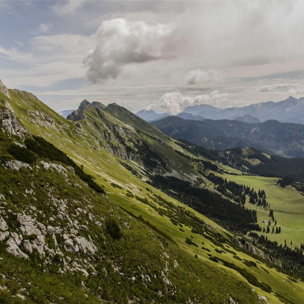 Camera - professional stock photography