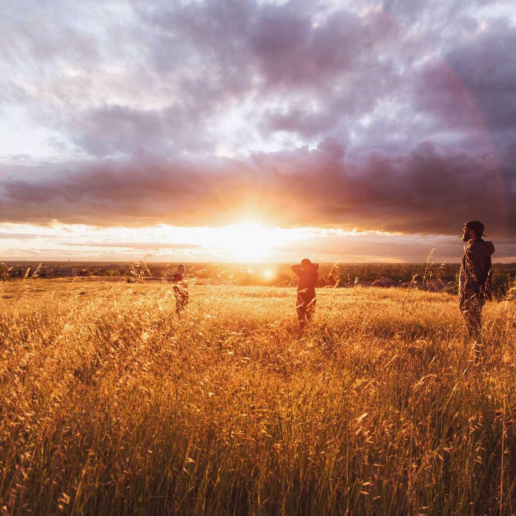 Camera - professional stock photography