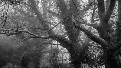 Charger - professional stock photography