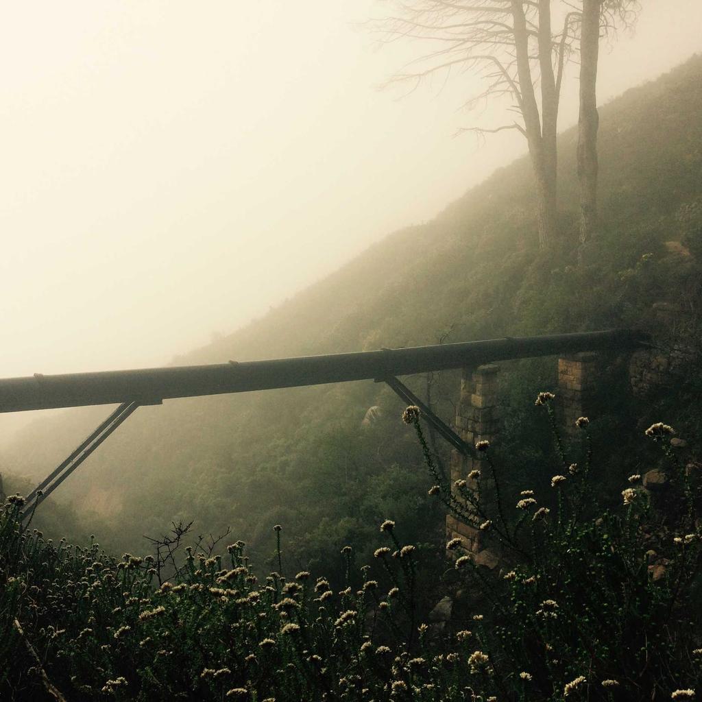 Earbuds - professional stock photography