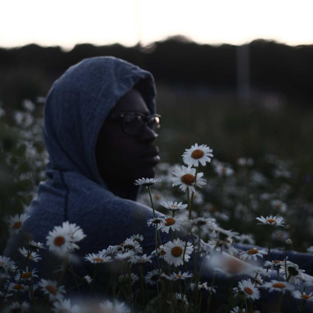 Gamepad - professional stock photography