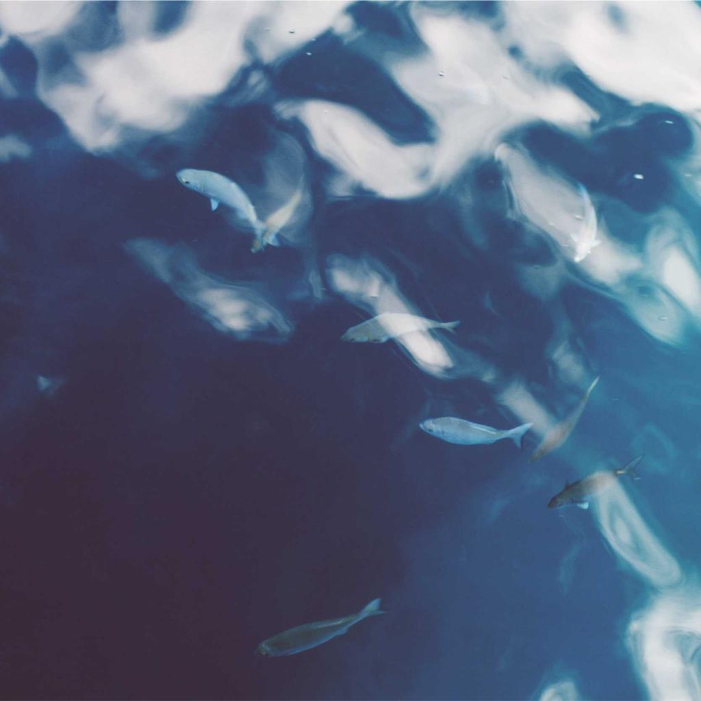 Headphones - professional stock photography