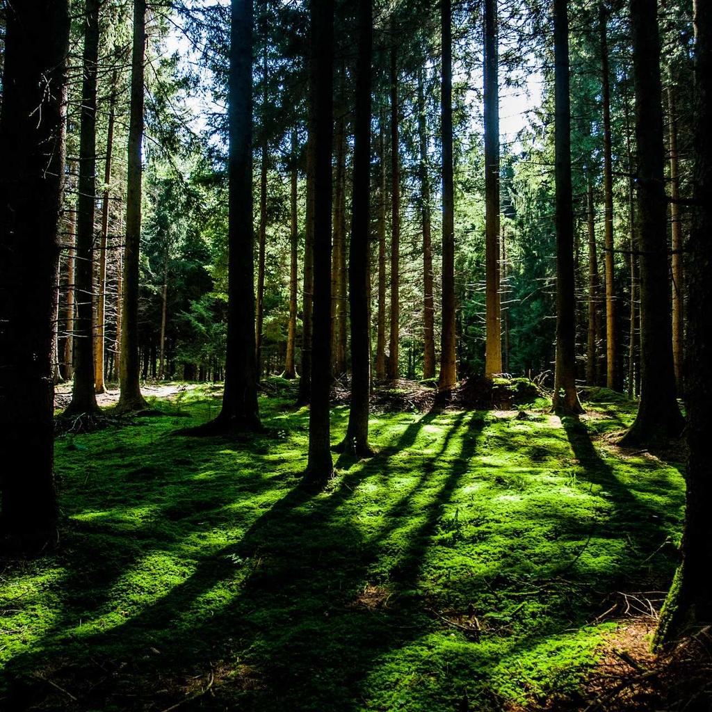 Keyboard - professional stock photography