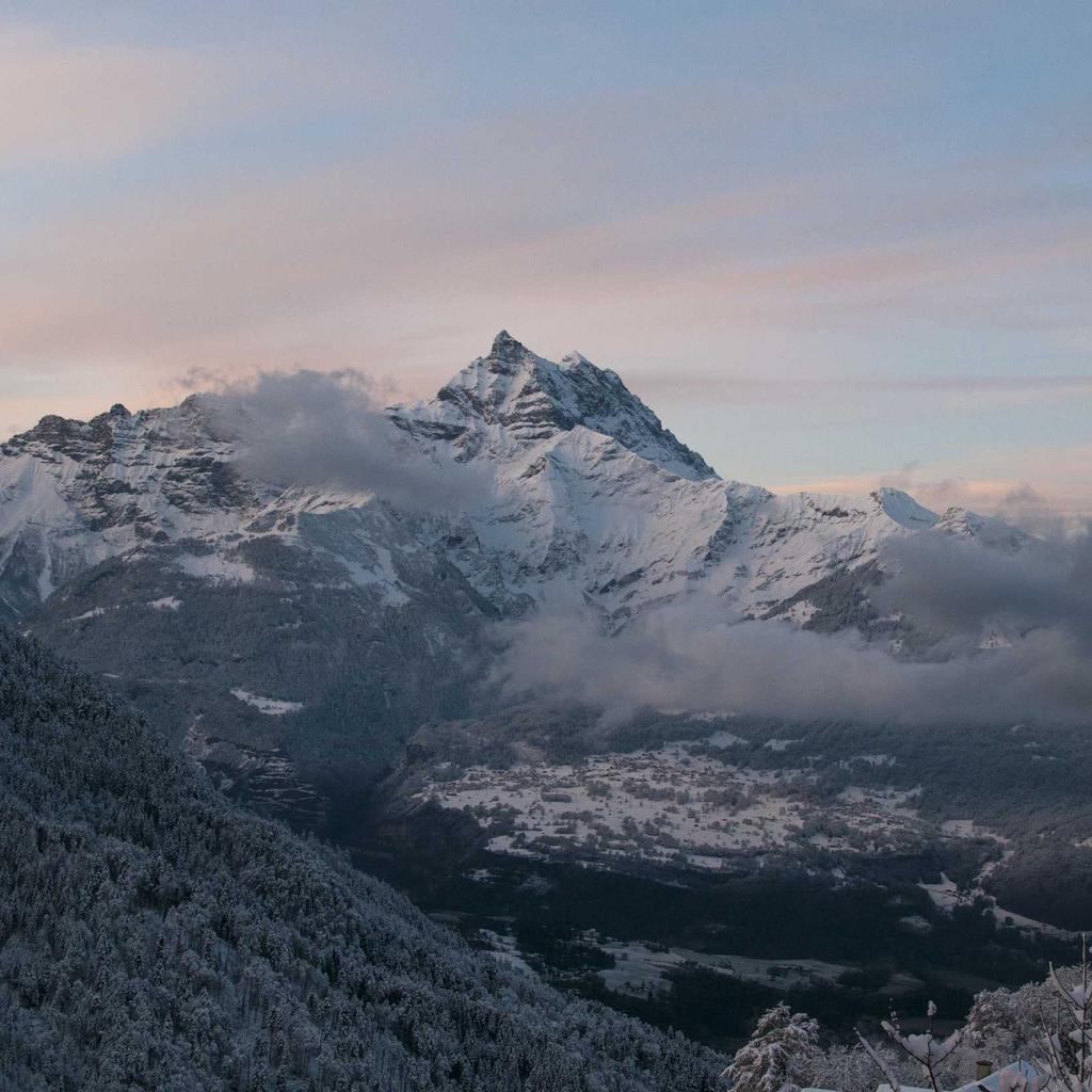 Laptop - professional stock photography