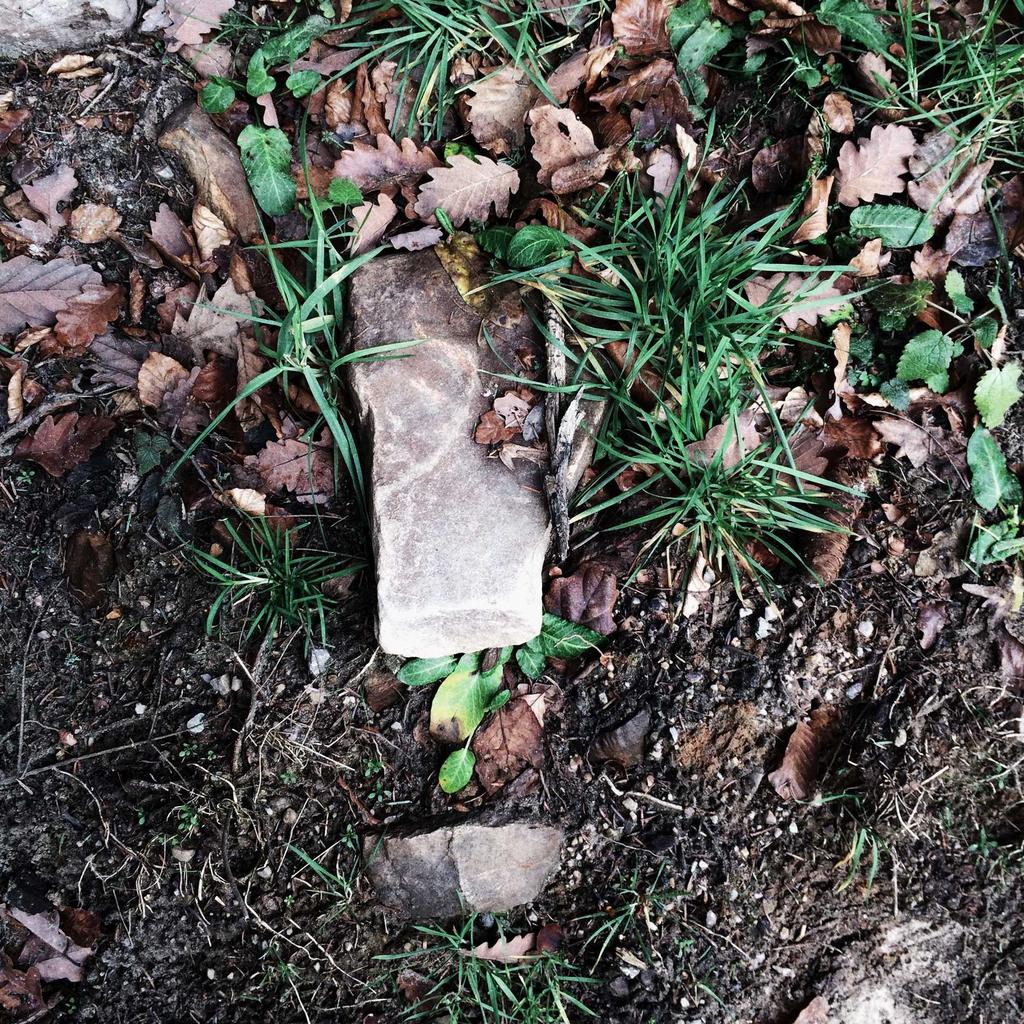 Microphone - professional stock photography