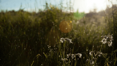 Monitor - professional stock photography