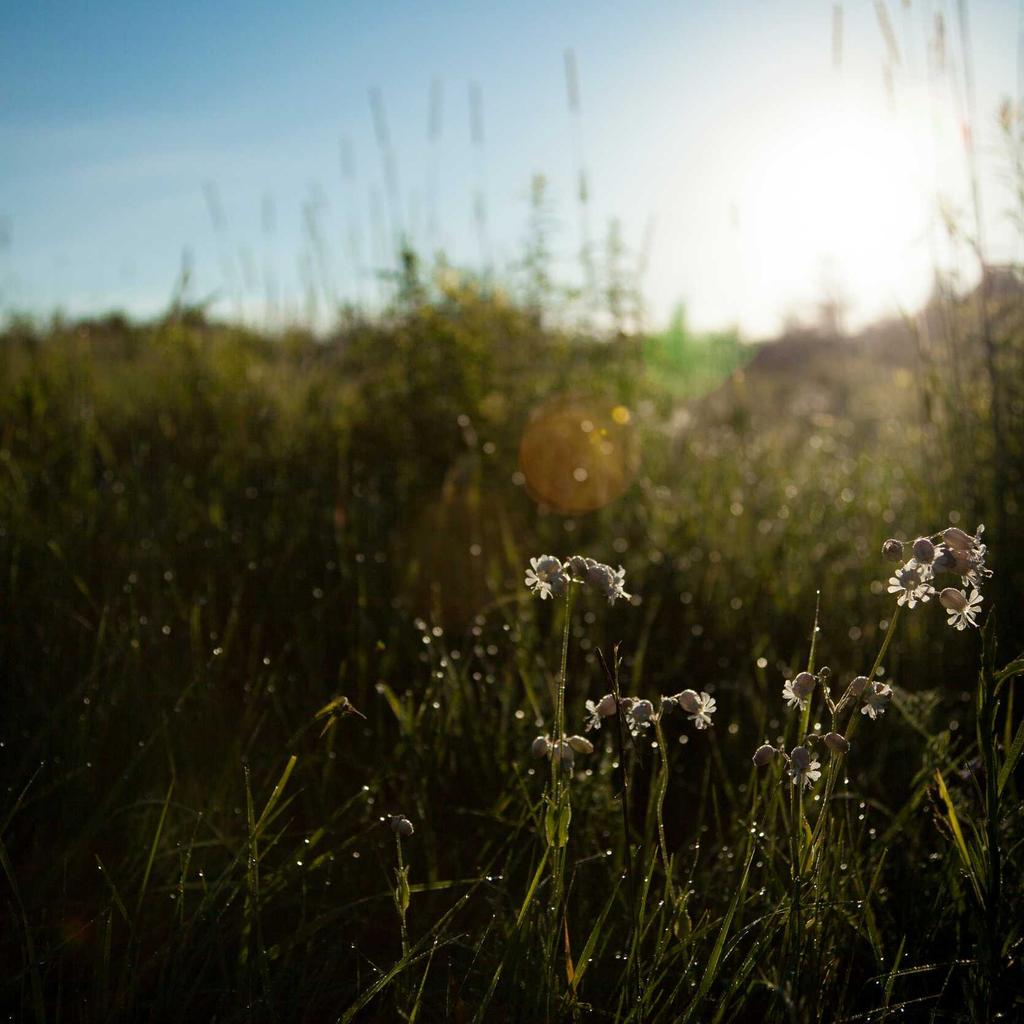 Monitor - professional stock photography