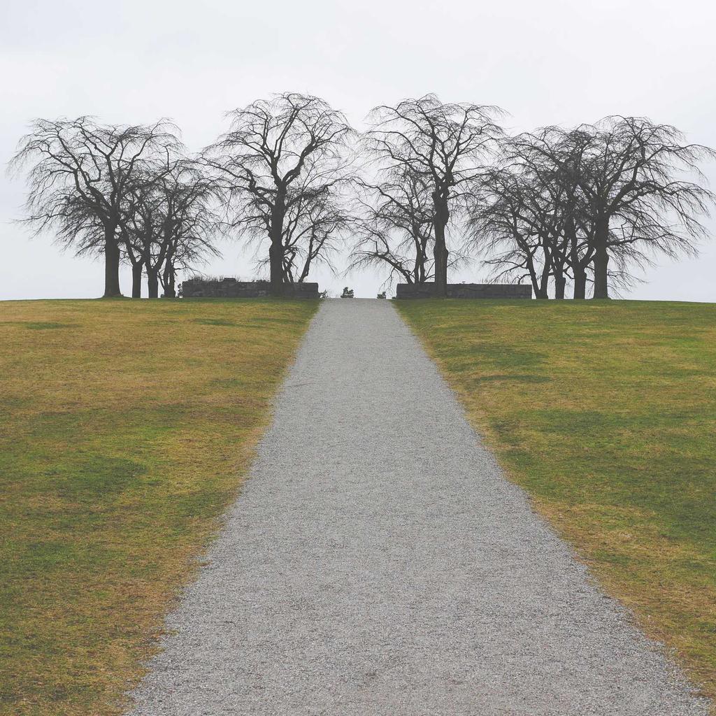 Monitor - professional stock photography