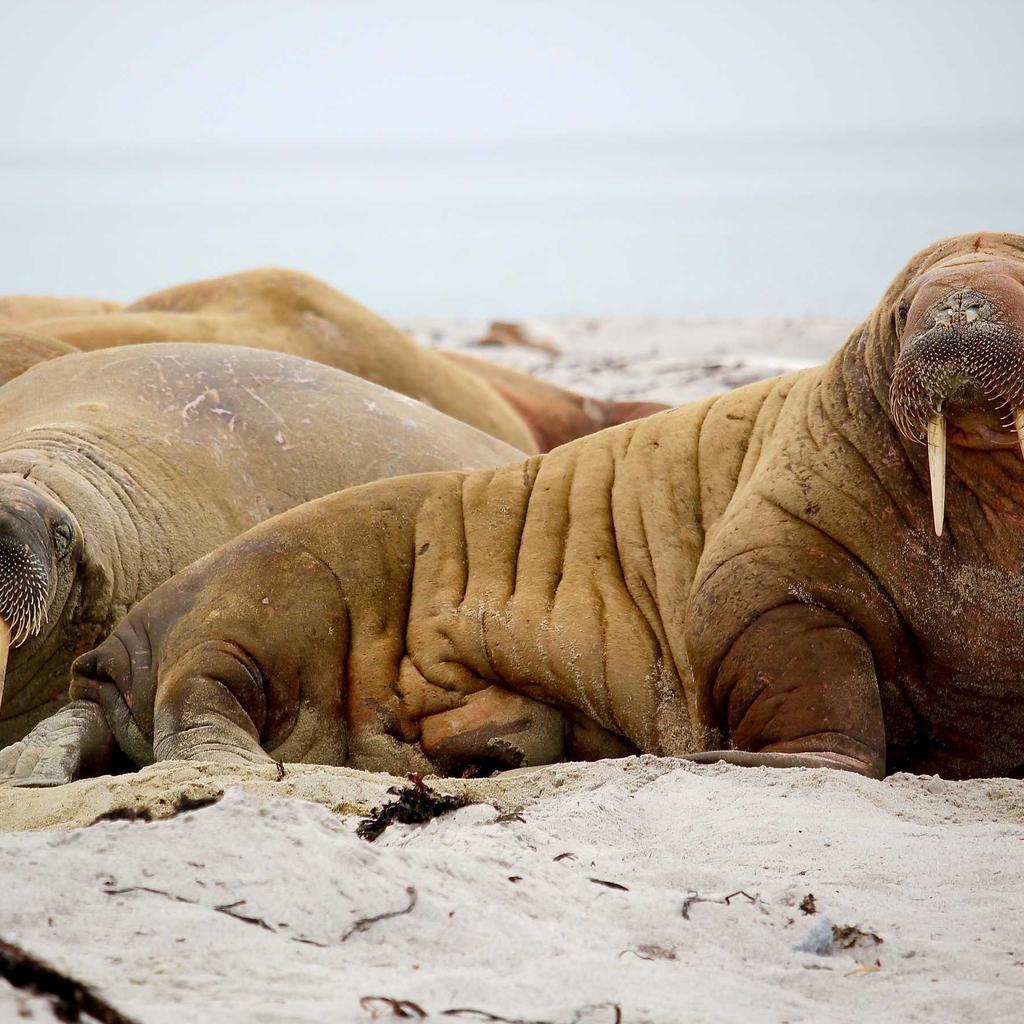 Monitor - professional stock photography
