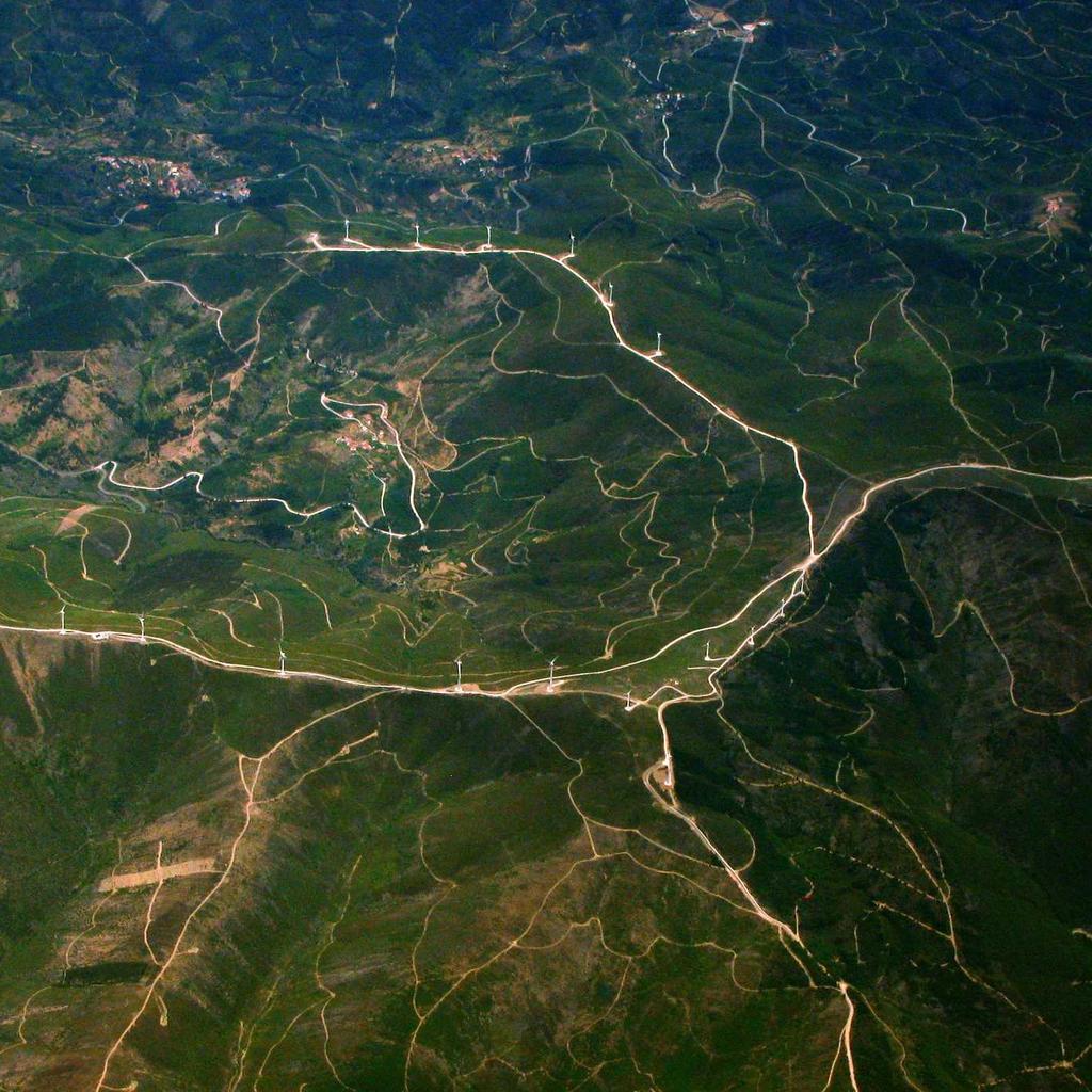 Mouse - professional stock photography