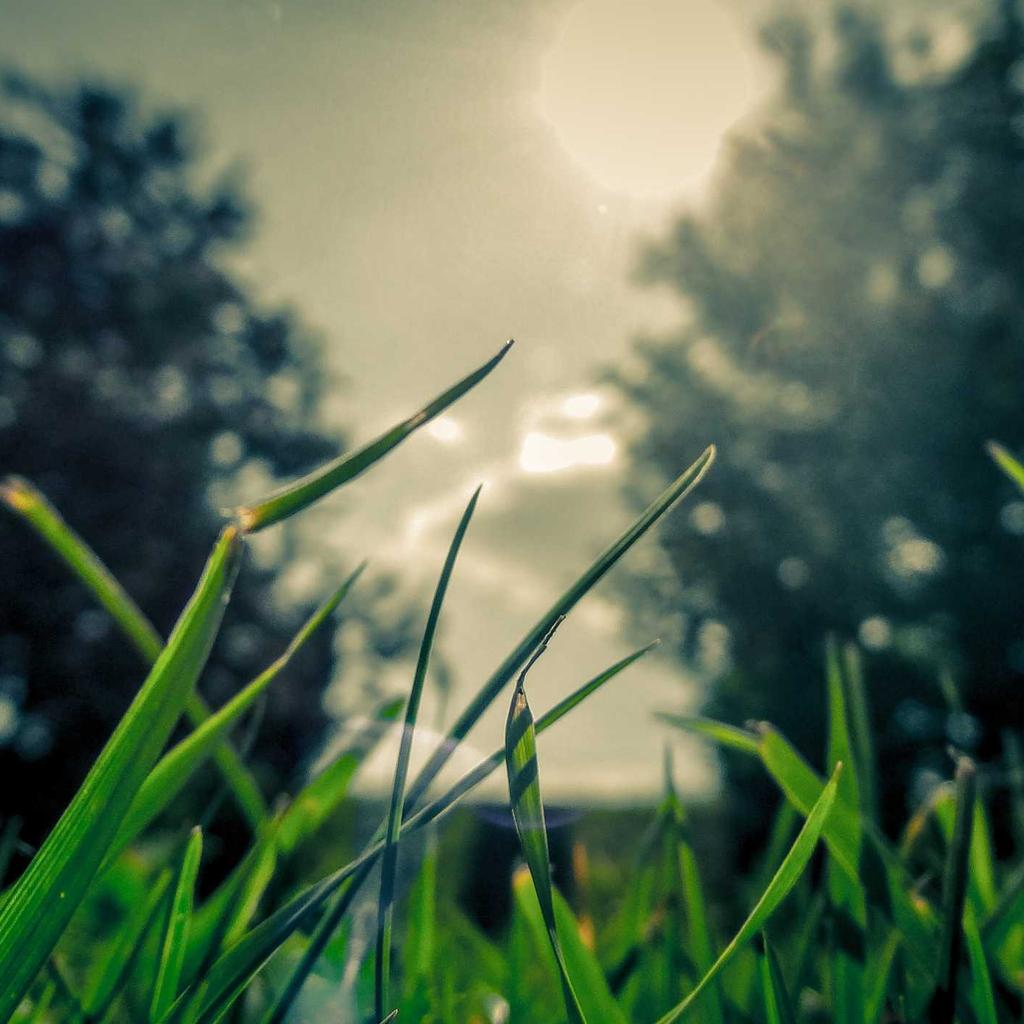 Power Bank - professional stock photography