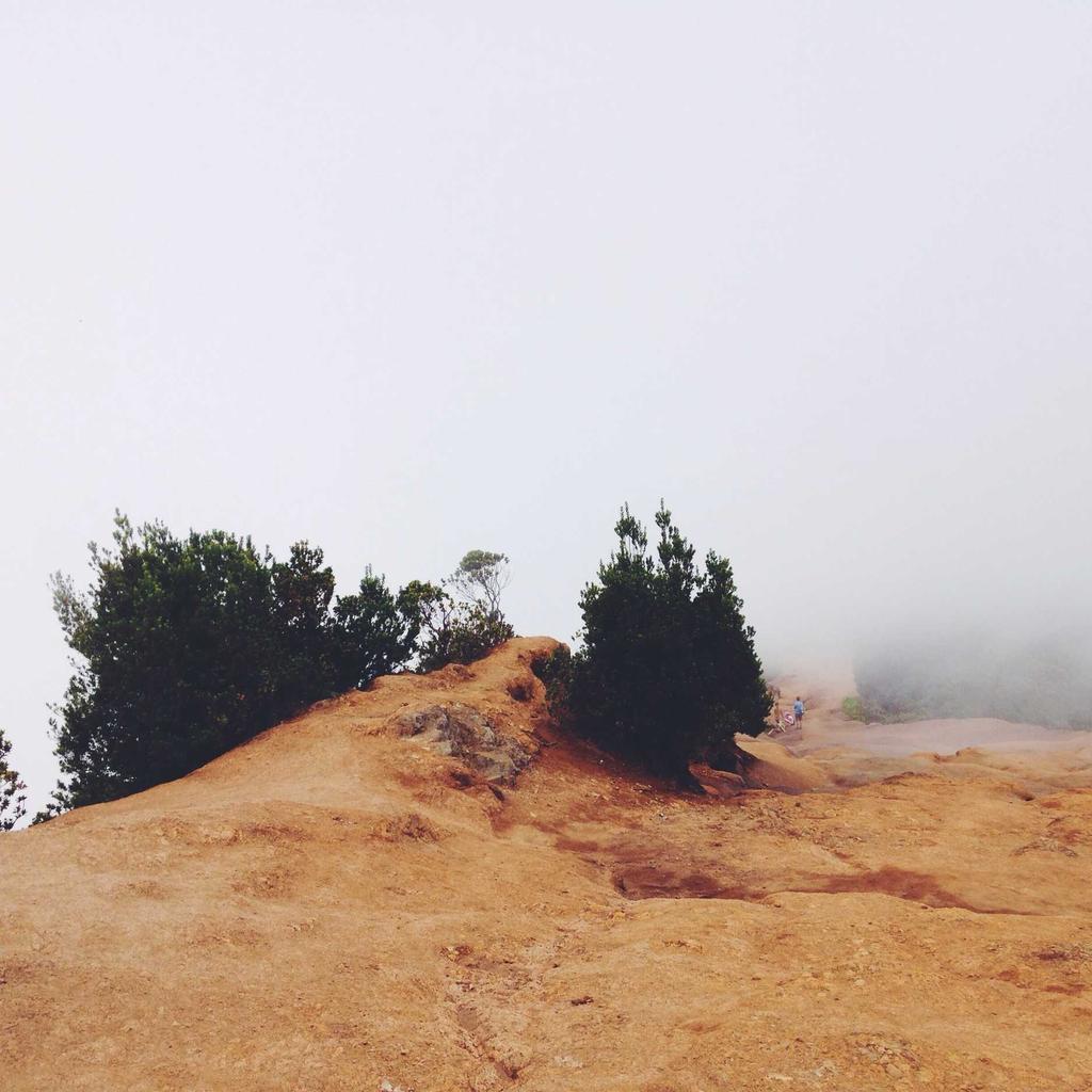 Printer - professional stock photography