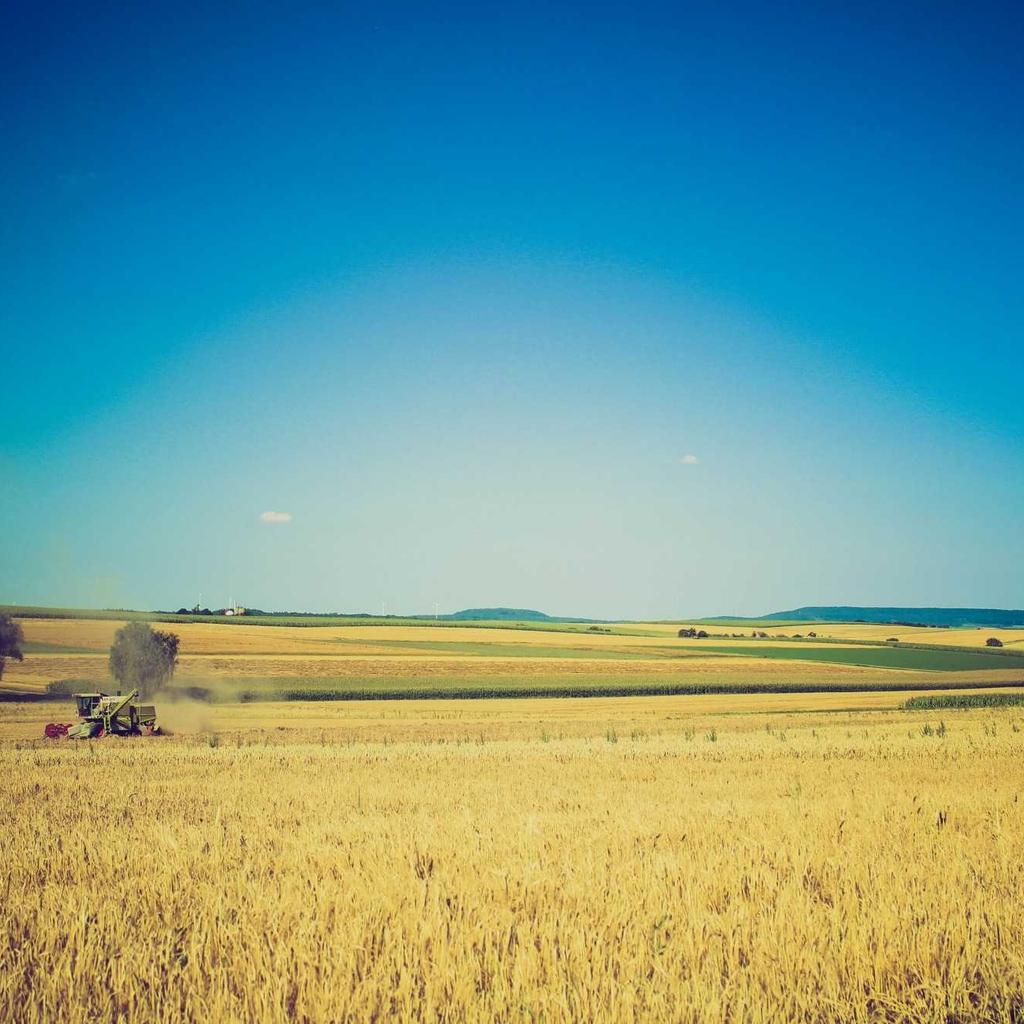 Projector - professional stock photography