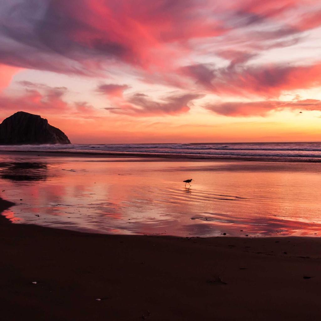 Projector - professional stock photography