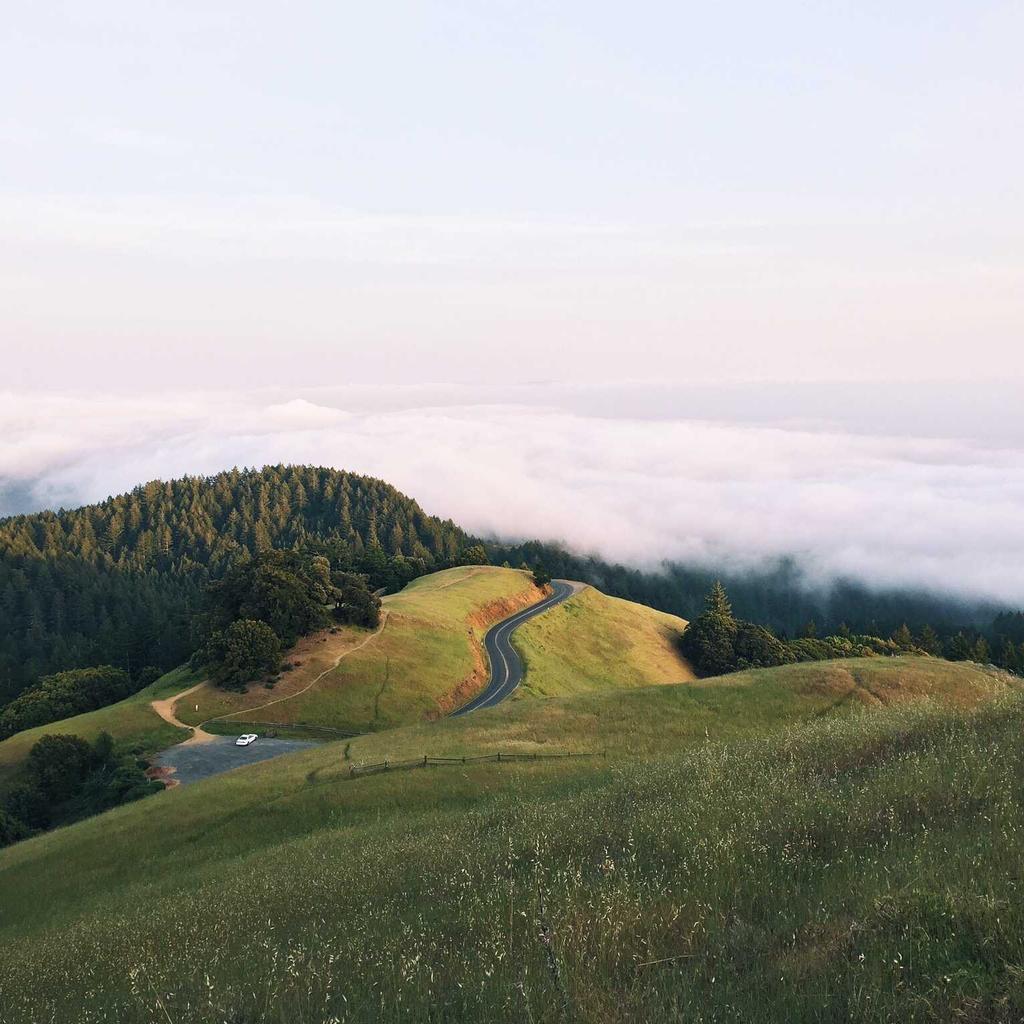 Smartphone - professional stock photography