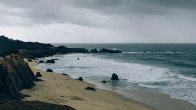 Tablet - professional stock photography