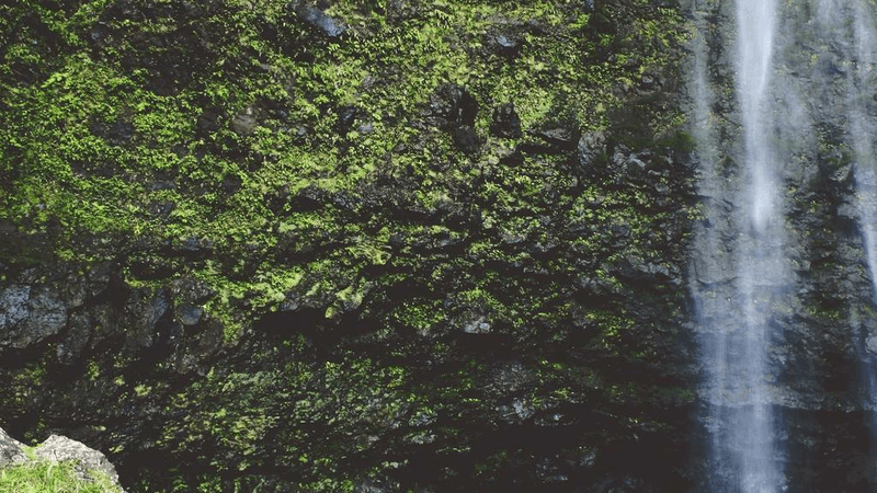 Vr Headset - professional stock photography