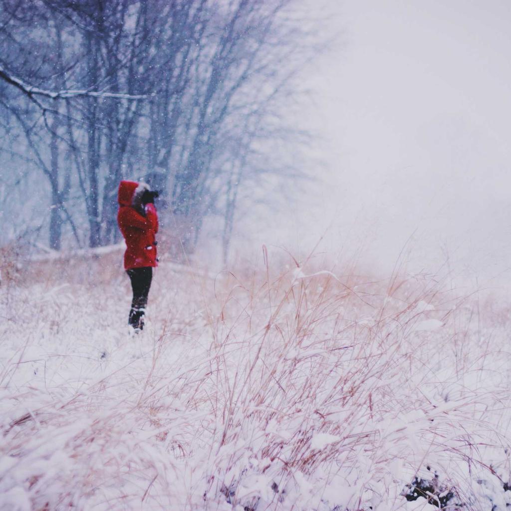 Webcam - professional stock photography