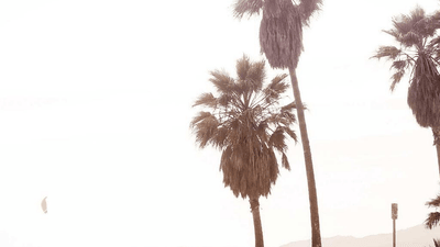 Webcam - professional stock photography