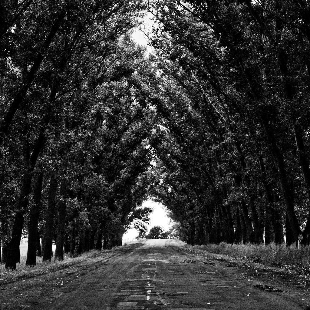 Webcam - professional stock photography